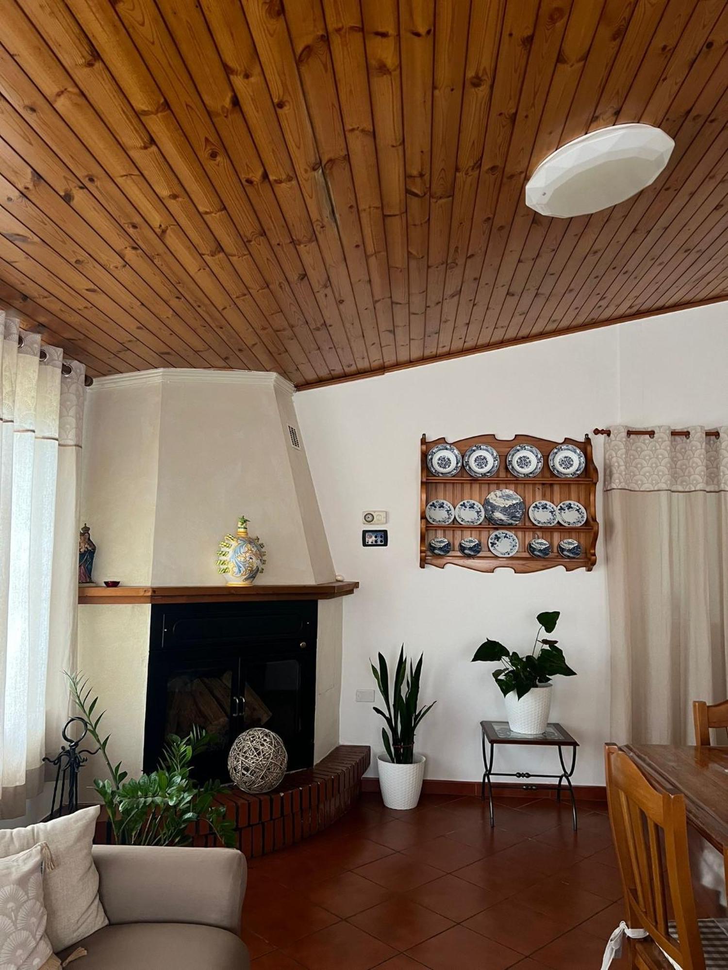 Cycas Villa Cellole Kültér fotó